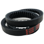 Belt, Drive, Bx81, Multi, Cogged