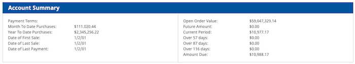 account summary